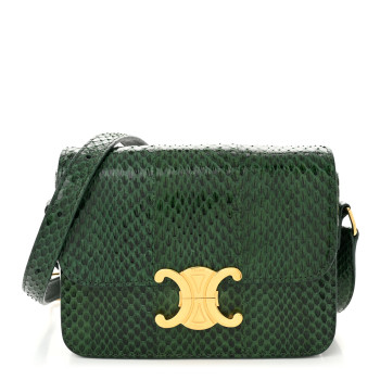 CELINE Watersnake Teen Triomphe Green