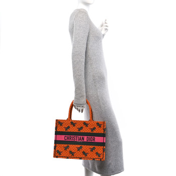 CHRISTIAN DIOR Canvas Embroidered Medium Dino Book Tote Orange Multicolor CHRISTIAN DIOR Canvas Embroidered Medium Dino Book Tote Orange Multicolor