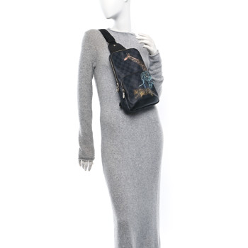 LOUIS VUITTON Damier Graphite Wild Animals Avenue Sling Backpack